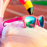 Flamingos On A Booze Cruise